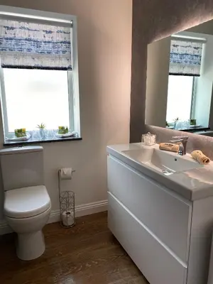 a bathroom with a toilet and a sink and a mirror at Toppesfield House B&B in Bude
