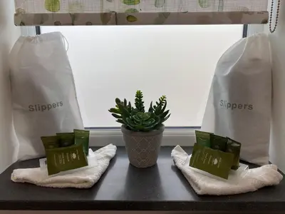 a table with two bags and a potted plant on it at Toppesfield House B&B in Bude