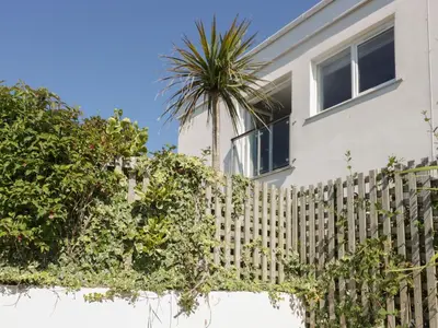 a house with a fence and a palm tree at The Lookout in Newquay
