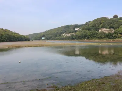 a body of water with houses in the background at Pixie Cottage in Looe