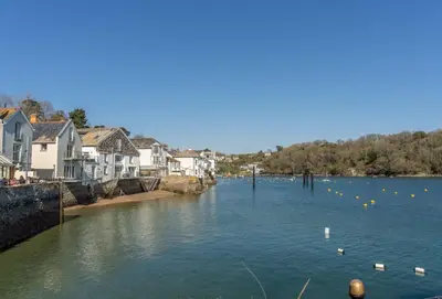 a river with a bunch of ducks in the water at The Old Smoke House in St Austell