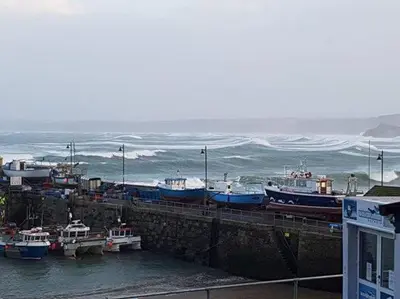 a group of boats are docked in a harbor at Harbour Hotel in Newquay