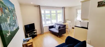 a living room with a couch and a chair and a television at Amazing Granite Henge and Swimming Pool in Looe
