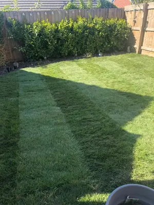 a shadow of a fence on a lawn at 2 Lapwing Drive in Hayle