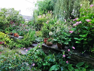 a garden with pots of plants and flowers at The Shire House in Lostwithiel