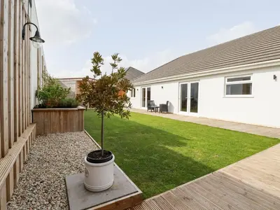 a small tree in a pot in the yard of a house at Penn-An-Vownder in Newquay