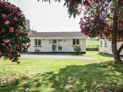 a white house with pink flowers in the yard at Watergate Bay in Liskeard