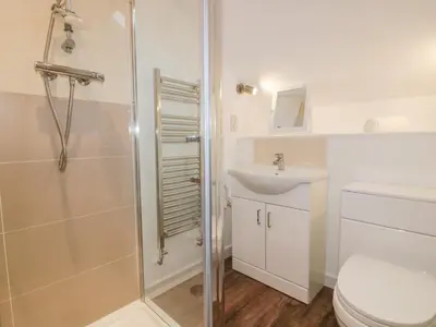 a bathroom with a shower and a sink and a toilet at Lily Cottage in Camelford