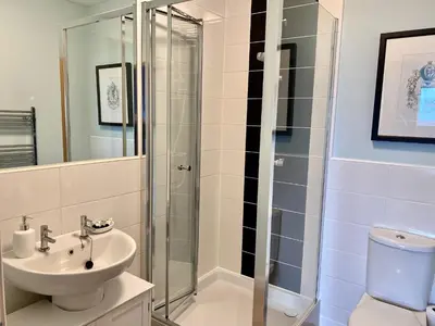 a bathroom with a shower and a sink and a toilet at Stunning Sea Views, luxury apartment beaches & restaurants are a short walk away in Newquay