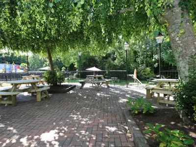 a group of picnic tables under a tree at Miles Retreat in Hayle