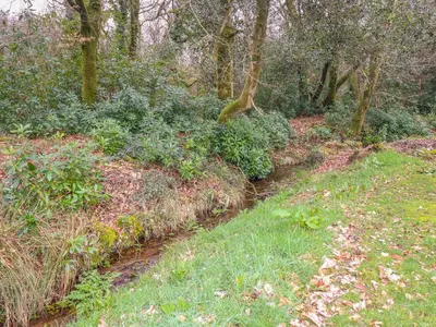 a stream in the middle of a field with trees at Blue Sky Cottage in Liskeard
