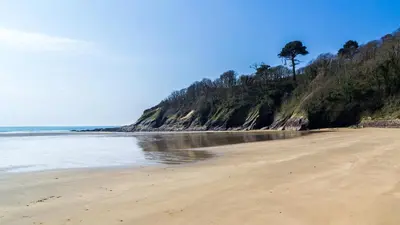 a sandy beach with a tree on top of a hill at Cottage in village of Mevagissey Cornwall Sleeps 4 in Mevagissey