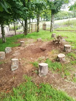 a garden with trees and rocks in the dirt at Looe Yurts in Looe