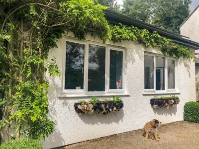 a dog standing in front of a house with plants at Primrose End in Bude