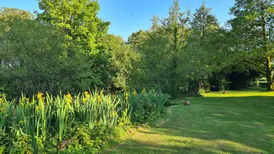 a garden with yellow flowers and trees and grass at Detached Bungalow in North Cornwall in Bodmin
