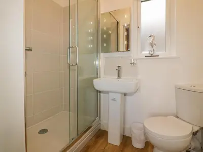 a bathroom with a shower and a toilet and a sink at Woodhall in Bodmin