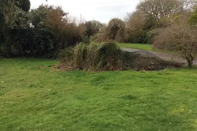 a pile of grass in the middle of a field at Okewoon Farm in Lanivet