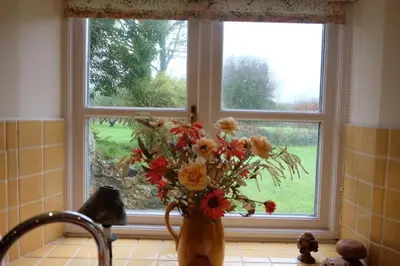 a vase of flowers sitting in front of a window at Okewoon Barn in Lanivet
