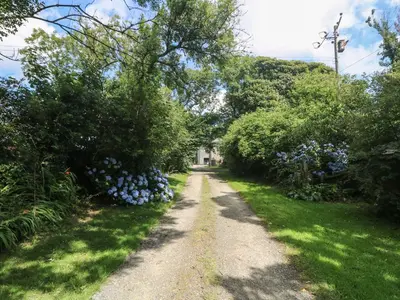 a dirt road with trees and flowers on it at Edwin's View in Helston