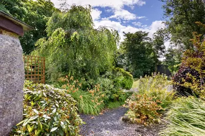 a garden with many different plants and trees at Little Leighs in Launceston