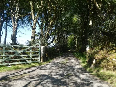 a tree lined dirt road with a fence at Pond Meadow in Launceston