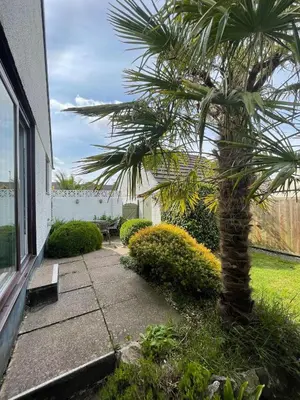 a palm tree on a sidewalk next to a house at Sunny detached bungalow, Nr Looe in Saint Keyne
