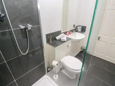 a bathroom with a shower and a toilet and a sink at No 1 The Hinges in Newquay