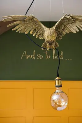 an owl is flying next to a light bulb at The Duchy Barn at Tregoose Old Mill in Newquay