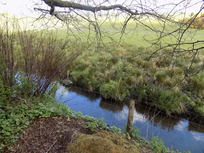 a creek in the middle of a field at 2-Bed Cottage Sleeps 5 Pets Ok Close to Coast in Davidstow