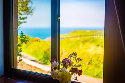 a window with a view of the ocean and a vase of flowers at Polrunny Farm Elderberry Cottage with sea view in Boscastle
