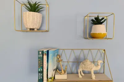 a shelf with books and a toy camel and a plant at Driftwood Cottage in Uny Lelant