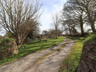 a dirt road with trees and a stone wall at Little Chygowlin in Truro