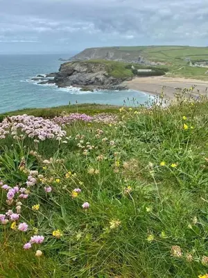 a field of flowers on a hill near the ocean at Farm accommodation - The Lizard Peninsula, Cornwall in Helston
