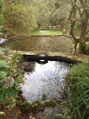 a small pond with a bridge in a garden at Trevenna Cabin in St Austell