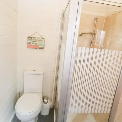 a small bathroom with a toilet and a shower at Trevenna Cabin in St Austell