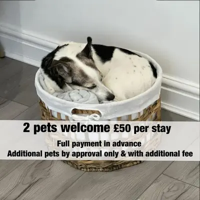 a dog sleeping in a dog bed in a basket at The Cornish Nook Beautiful Grade 2 Listed Building In Cornwall By STAE-Homes in Camelford