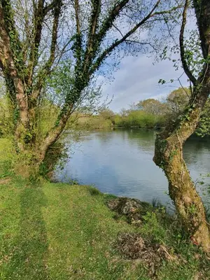 a body of water with trees and a river at Blissful Escape Hengar Manor in Bodmin