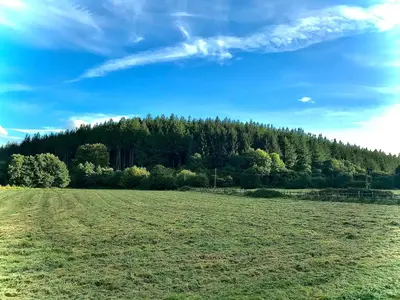 a green field with trees in the background at Trelaske Mill Cider Barn-with Hot Tub, Fire Pit BBQ in Lewannick