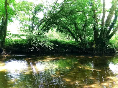 a body of water with trees in the background at Trelaske Mill Cider Barn-with Hot Tub, Fire Pit BBQ in Lewannick