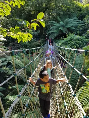 a group of children crossing a suspension bridge at a zoo at Hidden Gem near the beach with pool table in Newquay