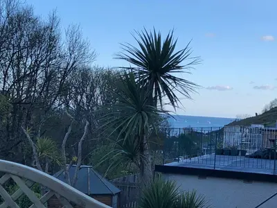 a palm tree sitting on top of a balcony at 2 Bed Villa Sleeps 4 - Wifi Garden Sea Views in Looe