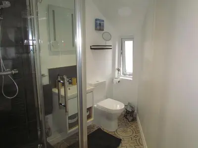 a small bathroom with a toilet and a shower at Trenwith Bridge Cottage in St Ives
