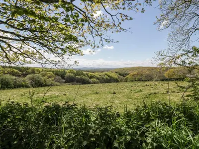 a field of grass with trees in the background at The Hayloft in Bodmin