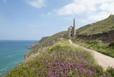 a path on a hill next to the ocean with purple flowers at Oriel Cottage in St. Agnes