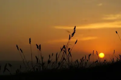 a silhouette of a field with the sunset in the background at Large 5 bed 3 bath house 300 meters from beach and restaurants in Newquay