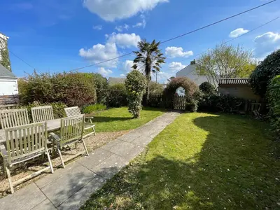 a yard with two benches and a palm tree at Mapa Cottage in Mount Hawke