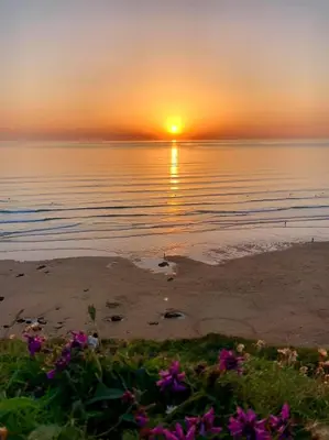 a sunset on the beach with purple flowers at Rose Cottage Bee Happy anex in Newquay