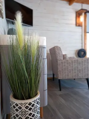 a couple of potted plants in a living room at Sandy Toes Accommodation in Par