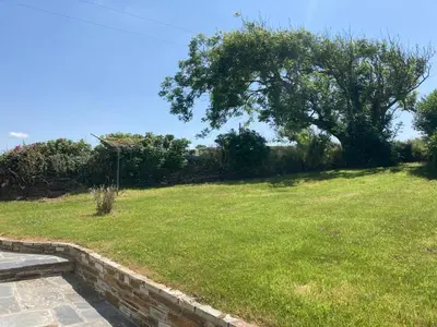 a field with a tree and a stone wall at Picture perfect cottage in rural Tintagel in Tintagel