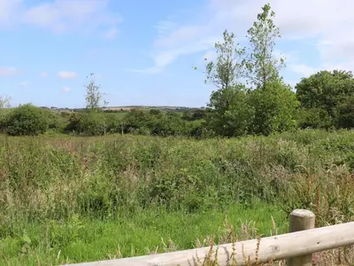 a field of tall grass with a wooden fence at The Dairy in Helston